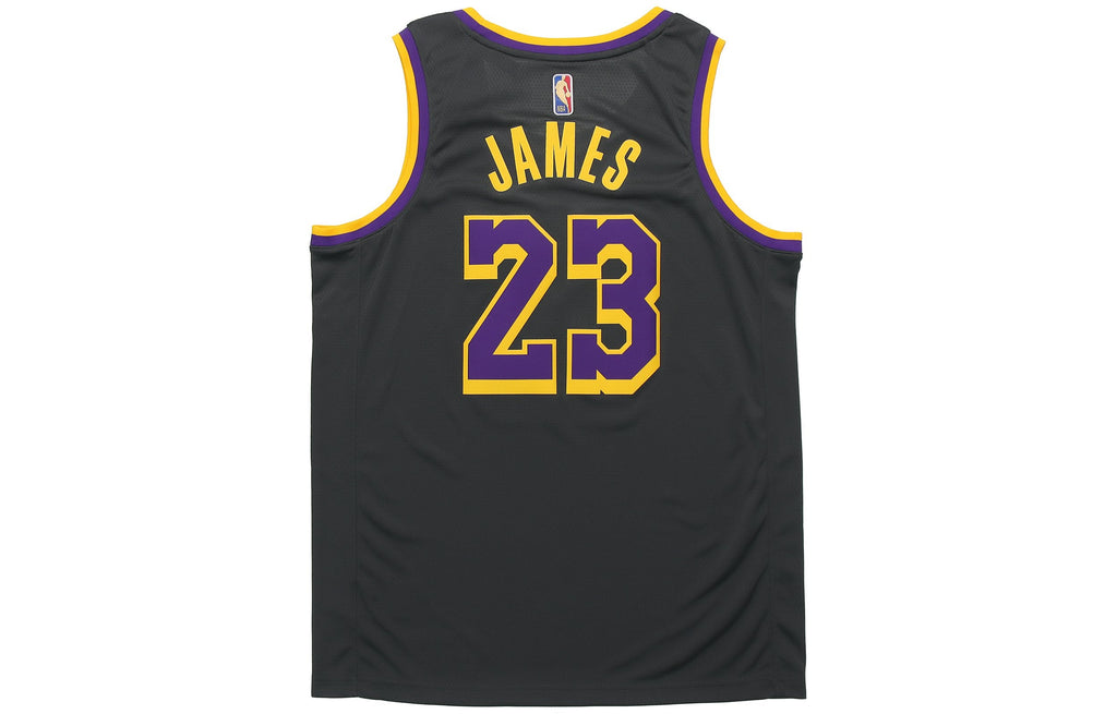 Nike NBA LeBron James Los Angeles Lakers 2020/21 Fan Edition Jersey #23 CN9929-013