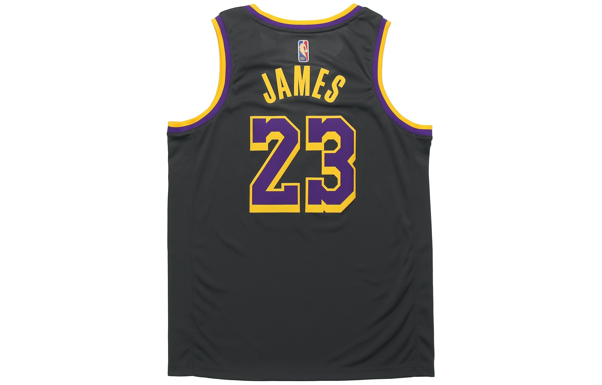 Nike NBA LeBron James Los Angeles Lakers 2020/21 Fan Edition Jersey #23 CN9929-013