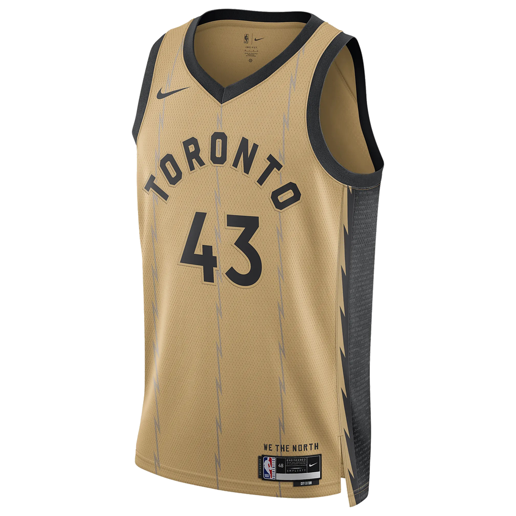 Nike Dri-FIT NBA Swingman Jersey 2023/24 City Edition ‘Toronto Raptors Pascal Siakam’ DX8520-746