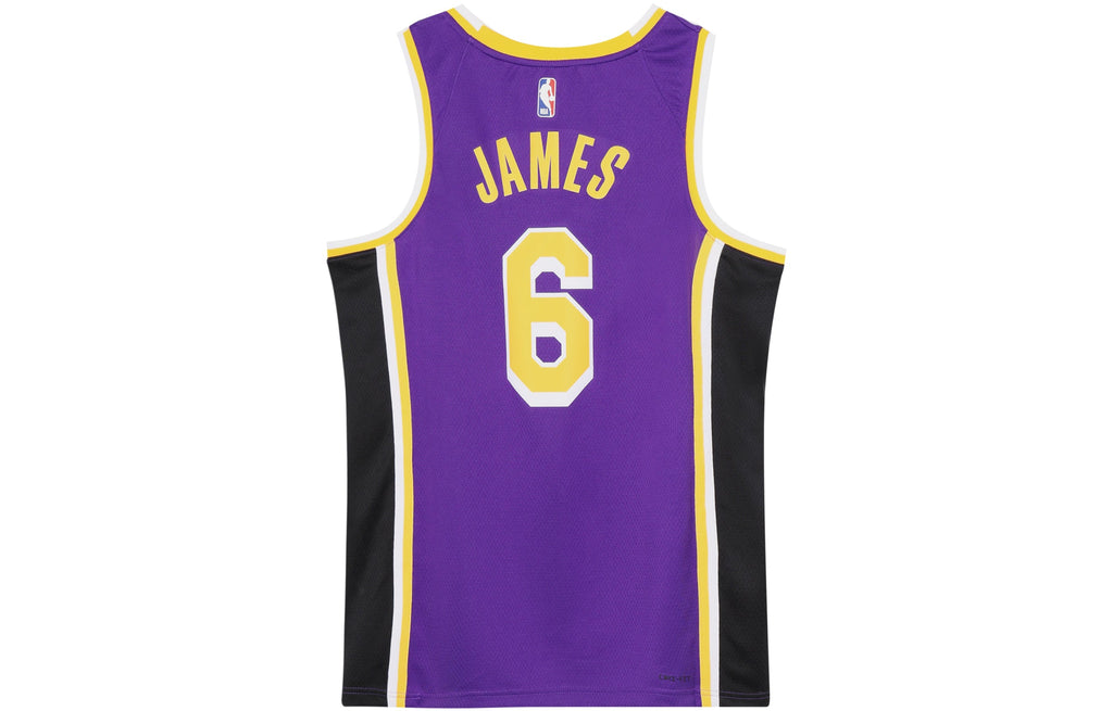 Men’s Nike NBA Quick Dry Sports Basketball SW Fan Edition Version Los Angeles Lakers Lebron James No. 6 Purple Jersey CV9481-513