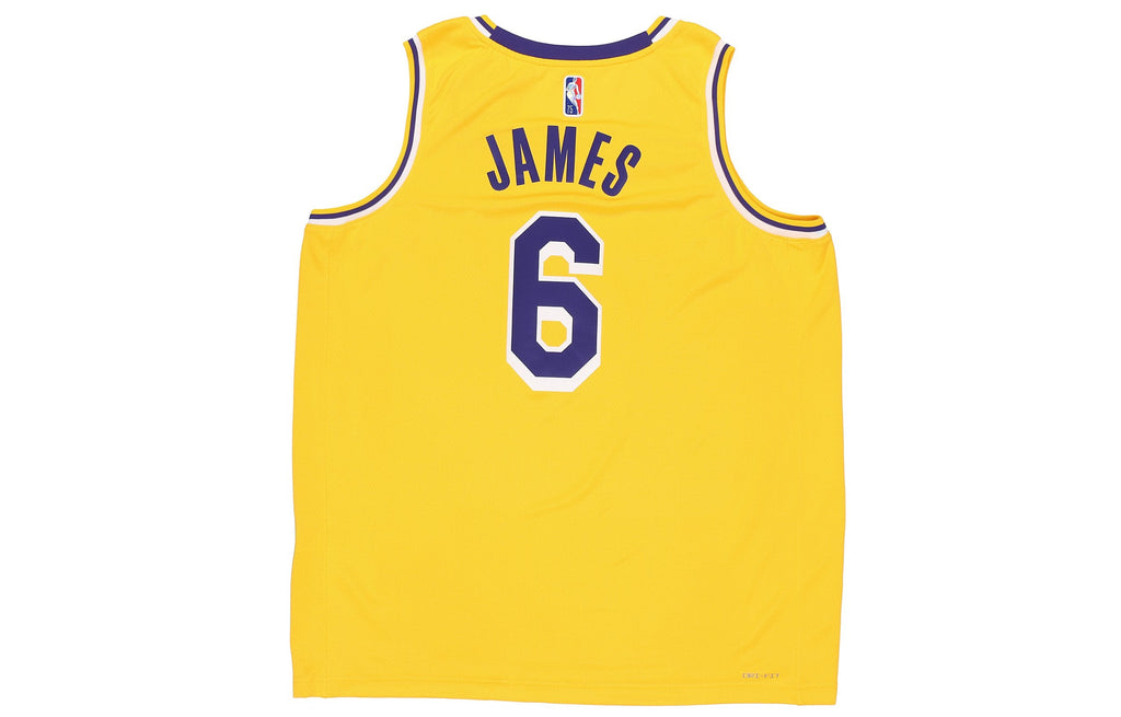 Nike x NBA LA Lakers Jerseys ‘LeBron James 6’ DB3576-731