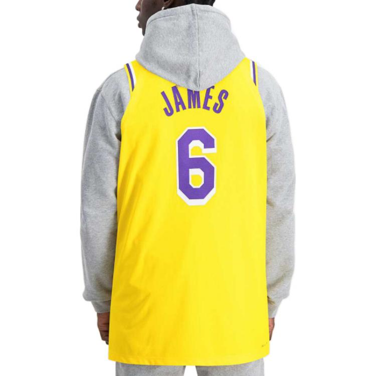 Nike x NBA LA Lakers Jerseys ‘LeBron James 6’ DB3317-730