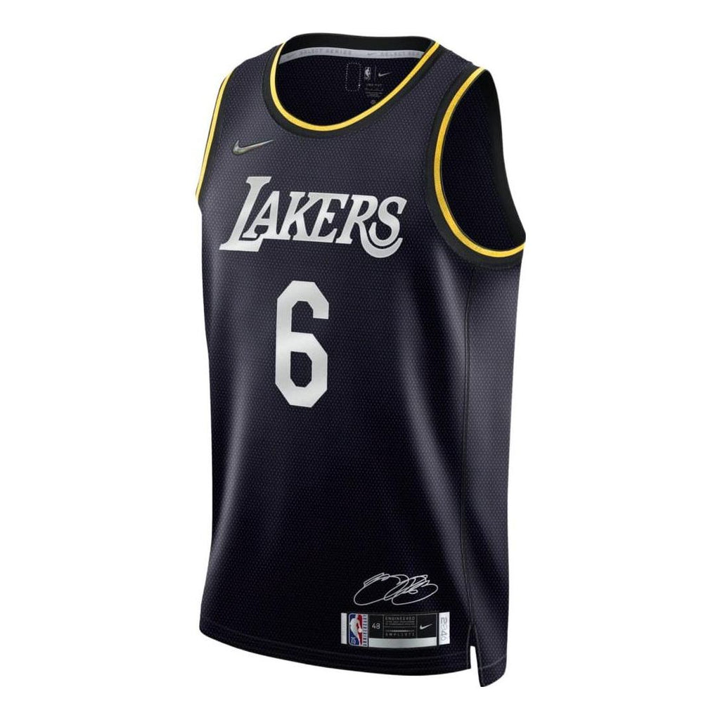 Nike x NBA LA Lakers Icon Edition Jerseys ‘LeBron James 6’ DH8060-010