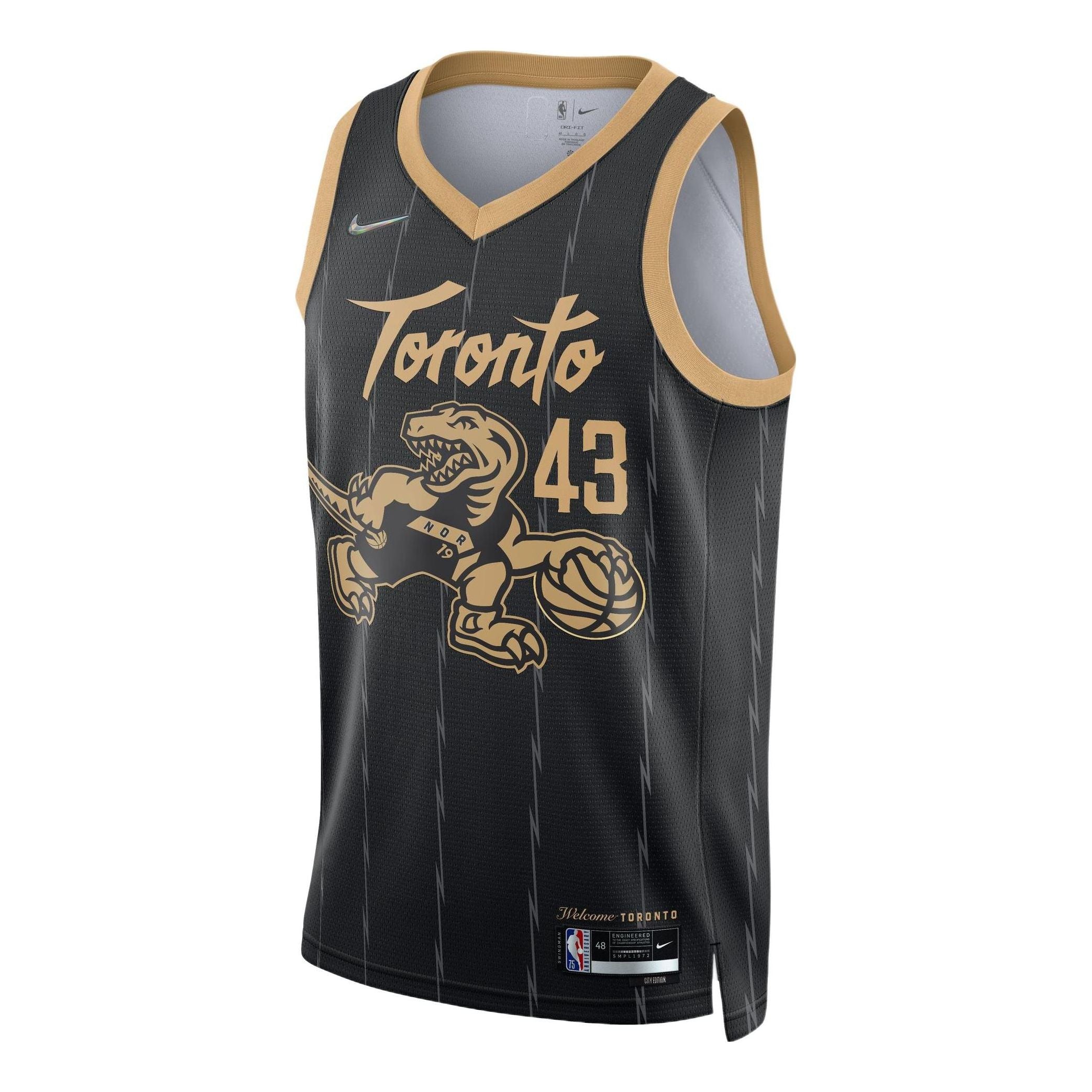 Nike x NBA Toronto Raptors City 20-21 Edition Jersey ‘Pascal Siakam 43’ DB4046-010